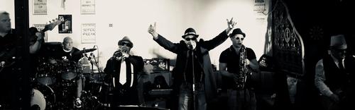 SKA MONKEYS SKA MONKEYS
